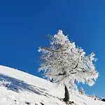 Modern Perauer Апартаменты *