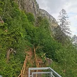 Modern Perauer * Гмюнд
