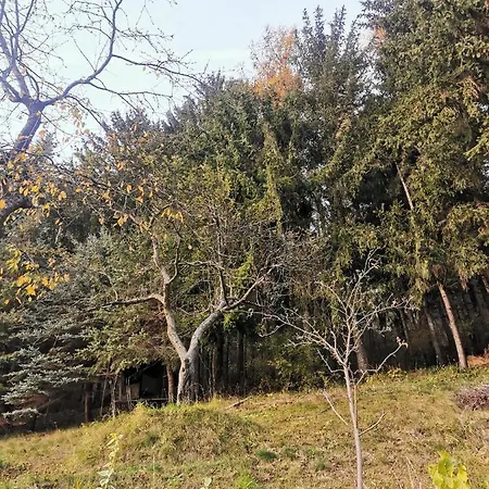 Modern Perauer דירה גמונד