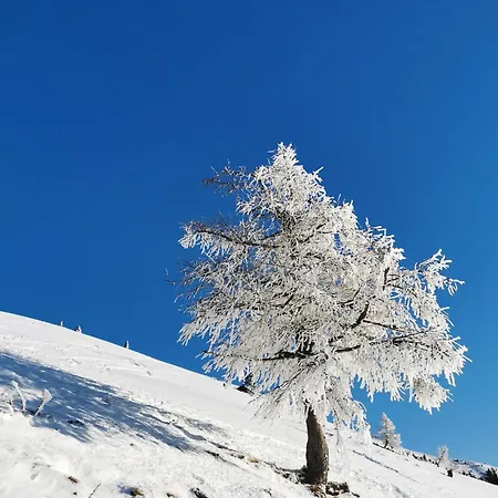 Modern Perauer Appartement *