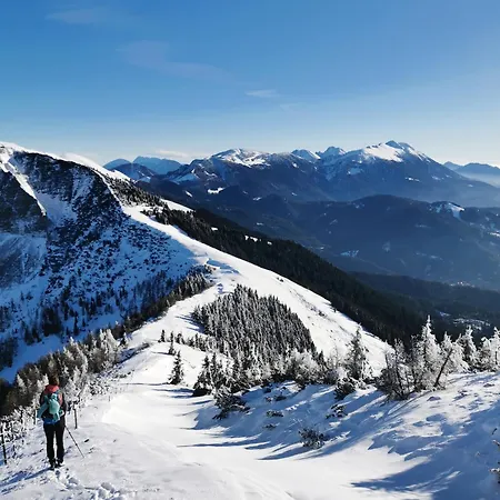 Modern Perauer גמונד