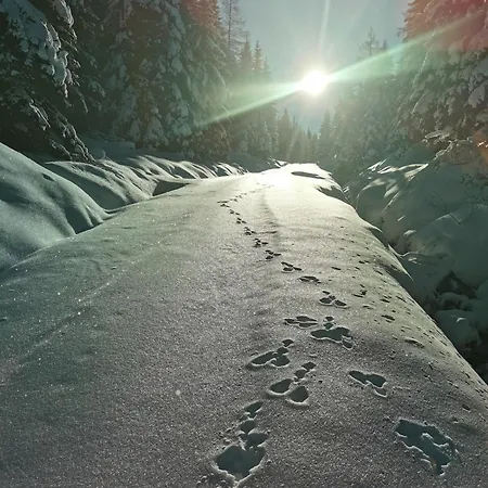 Appartamento Modern Perauer