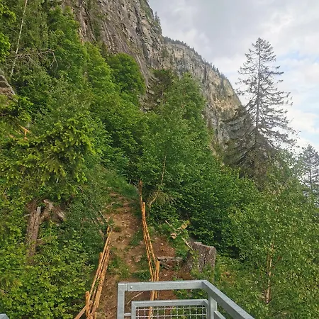 Modern Perauer * Gmünd