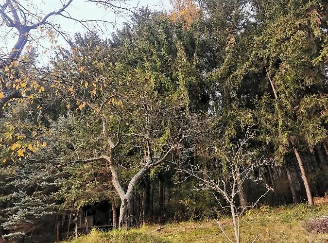 Modern Perauer Appartamento Gmünd