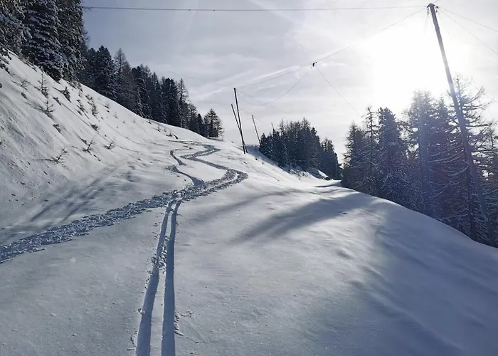 Modern Perauer Gmünd