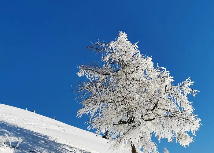 Modern Perauer Apartman *