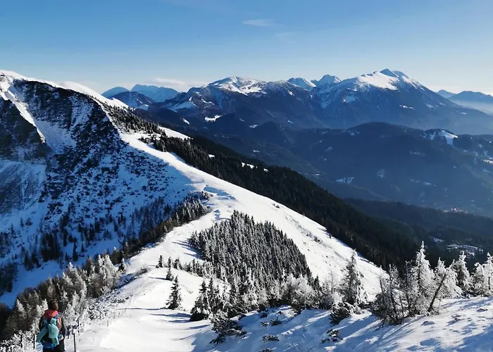 Modern Perauer Gmünd