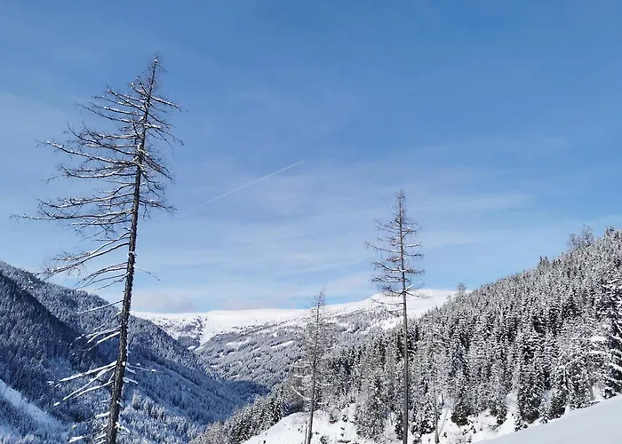 Apartman Modern Perauer