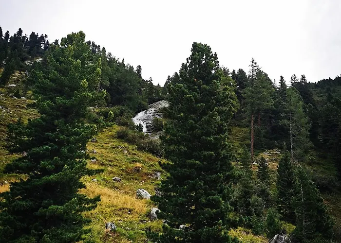 Apartman Modern Perauer