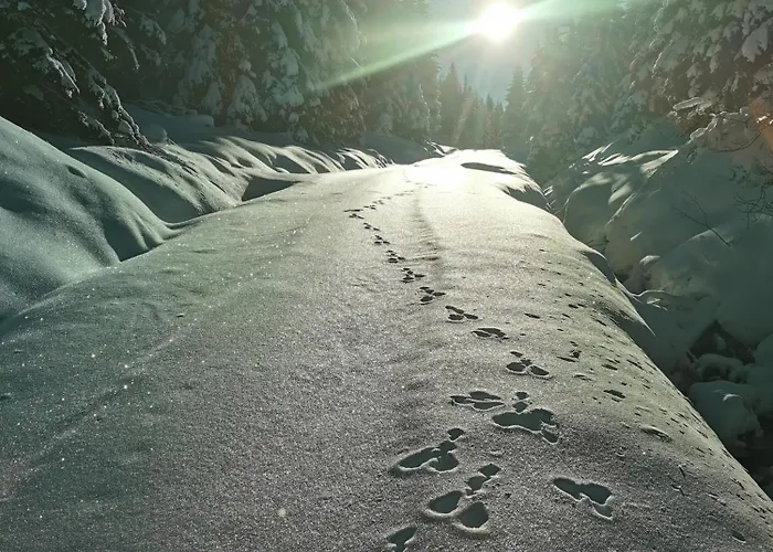 Apartman Modern Perauer