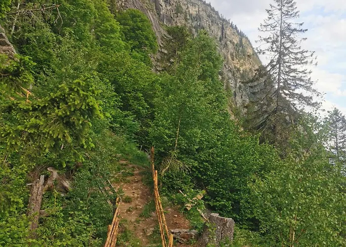 Modern Perauer * Gmünd